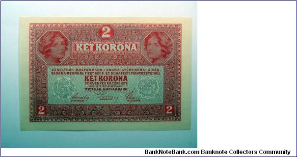 Banknote from Austria year 1919