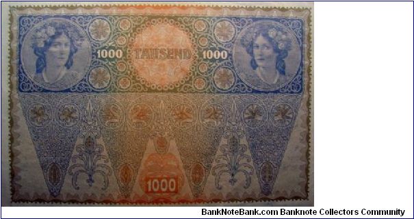 Banknote from Austria year 1919