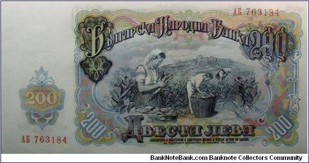 Banknote from Bulgaria year 1951