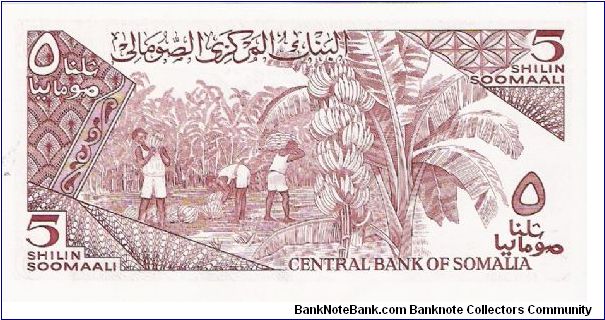 Banknote from Somalia year 1986