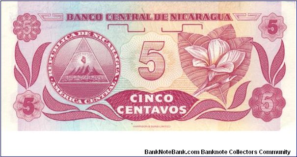 Banknote from Nicaragua year 1991