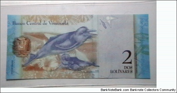 Banknote from Venezuela year 2007