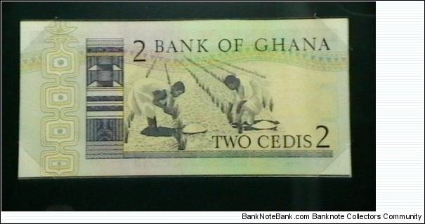 Banknote from Ghana year 1982