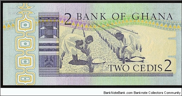 Banknote from Ghana year 1982