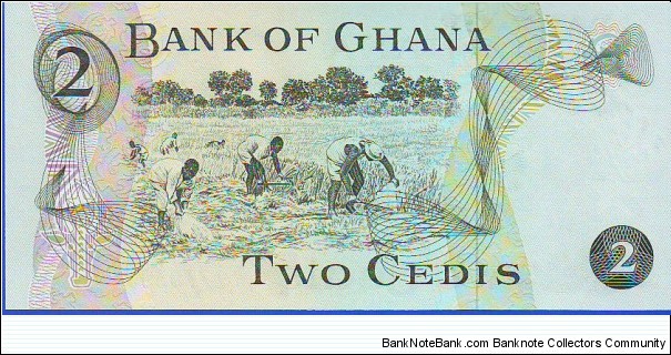 Banknote from Ghana year 1977