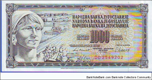  1000 Dinara Banknote