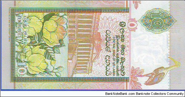 Banknote from Sri Lanka year 2005