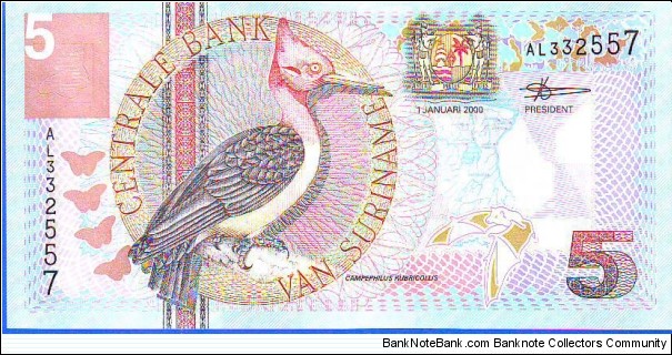  5 Gulden Banknote