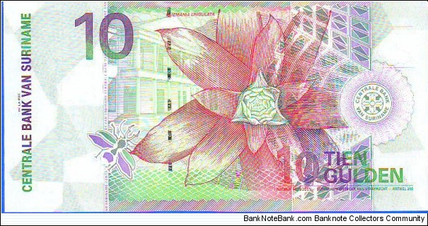 Banknote from Suriname year 2000