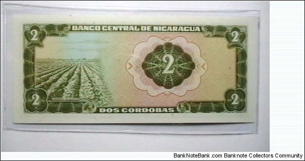 Banknote from Nicaragua year 1971