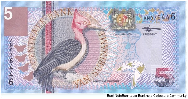 Suriname P146 (5 gulden 1/1-2000) Banknote