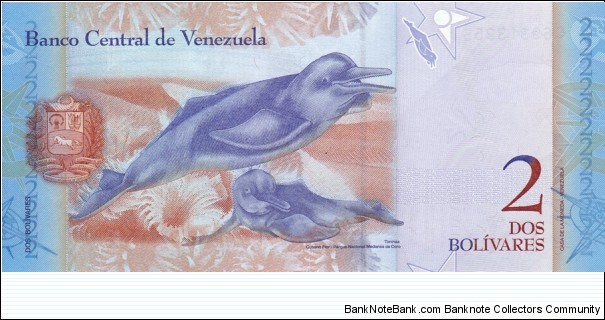 Banknote from Venezuela year 2007