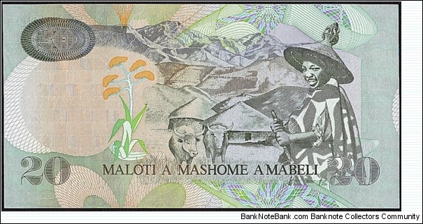 Banknote from Lesotho year 2005