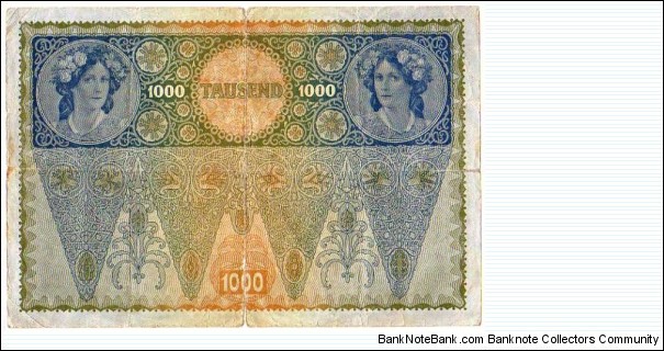 Banknote from Austria year 1919