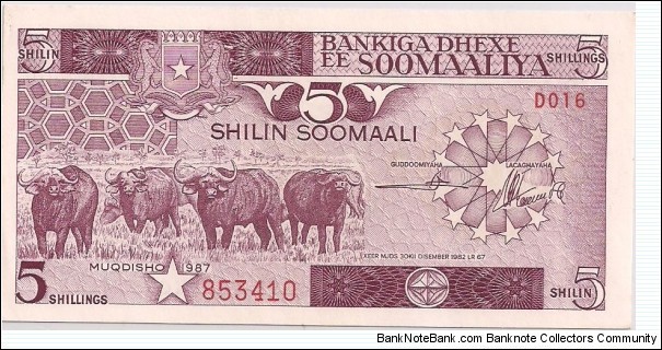 5 Shilin Banknote
