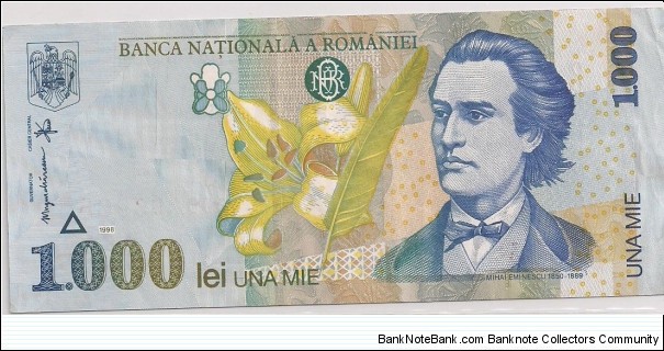 100 Lei Banknote