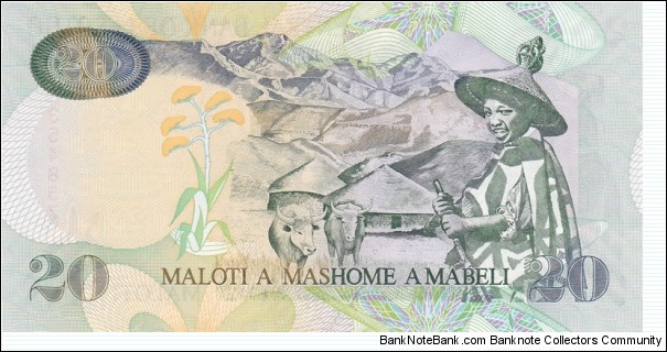 Banknote from Lesotho year 2007
