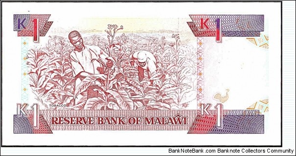 Banknote from Malawi year 1992