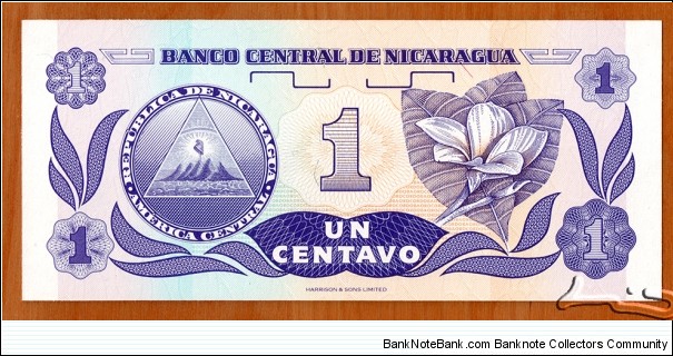 Banknote from Nicaragua year 1991