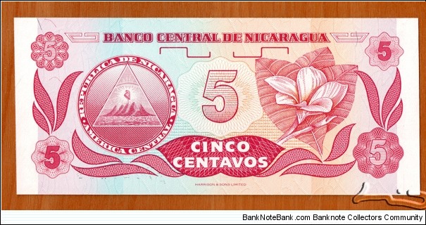 Banknote from Nicaragua year 1991