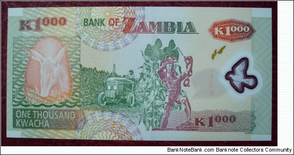 Banknote from Zambia year 2006