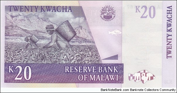 Banknote from Malawi year 2004