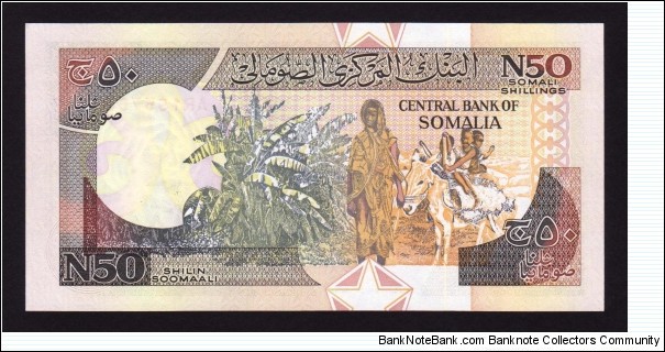 Banknote from Somalia year 1991