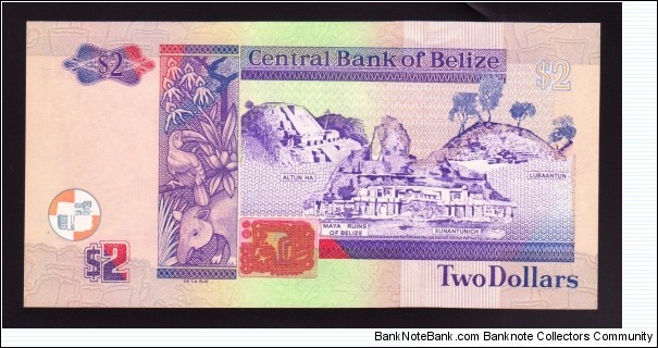 Banknote from Belize year 2007