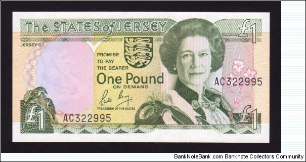 Jersey 1989 P-15a 1 Pound Banknote