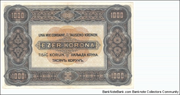 Banknote from Hungary year 1920