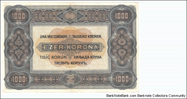 Banknote from Hungary year 1920