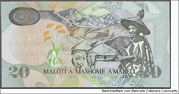 Banknote from Lesotho year 2005