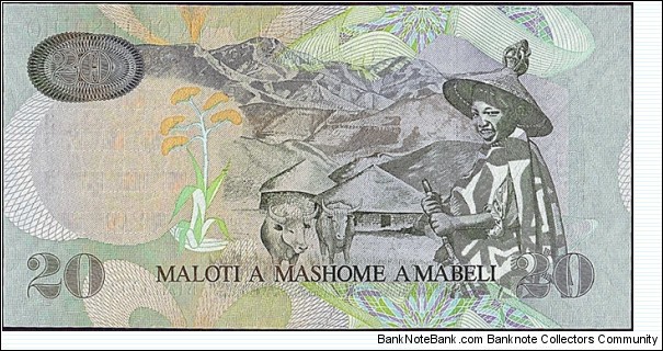 Banknote from Lesotho year 2007