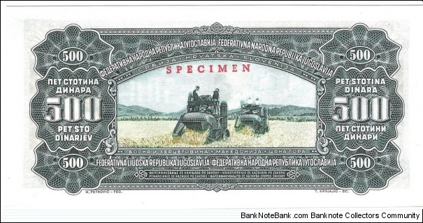 Banknote from Yugoslavia year 1955