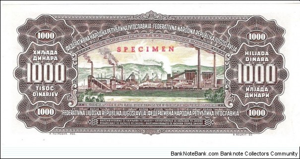 Banknote from Yugoslavia year 1955