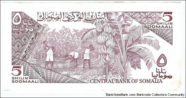 Banknote from Somalia year 1987