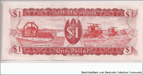 Banknote from Guyana year 1989