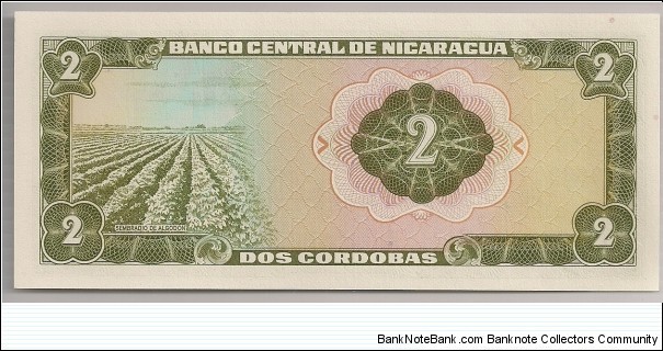 Banknote from Nicaragua year 1972