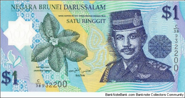 Sultan Hassanal Bolkiah, Reverse Rainforest Waterfall Size 41 x 69 mm Material Polymer Color Blue Banknote