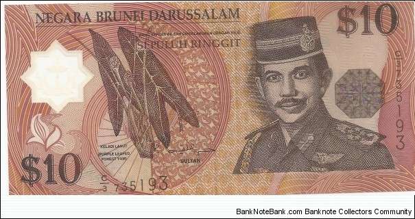 10 Bruneian Dollar Banknote
