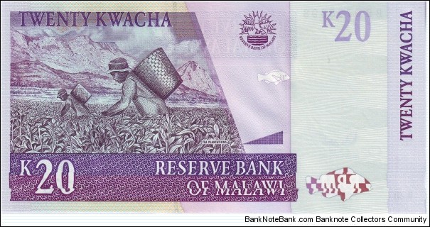 Banknote from Malawi year 2007