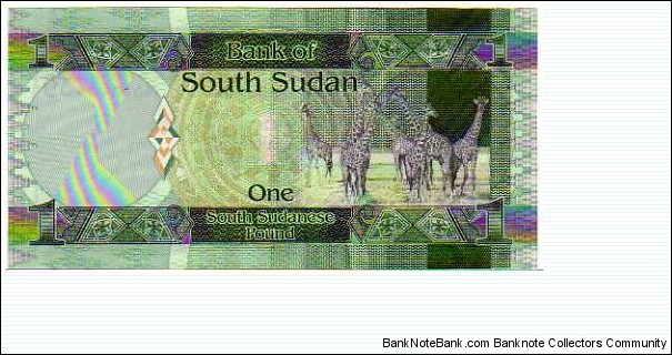 Banknote from Sudan year 2011