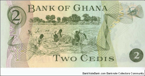 Banknote from Ghana year 1978