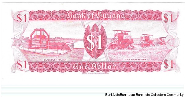 Banknote from Guyana year 1989