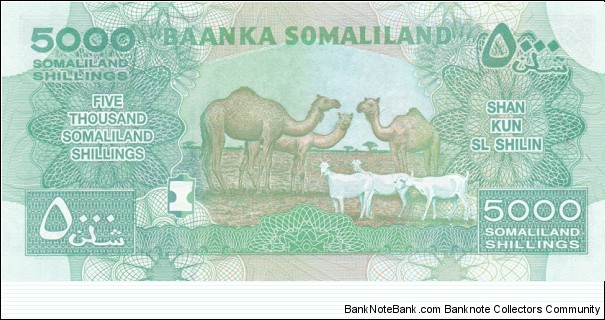 Banknote from Somalia year 2011