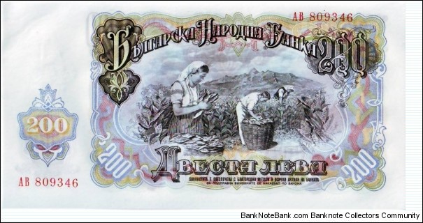 Banknote from Bulgaria year 1951