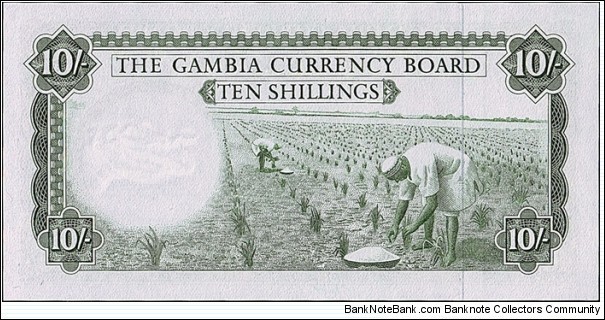 Banknote from Gambia year 0