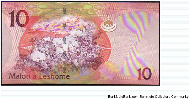 Banknote from Lesotho year 2010