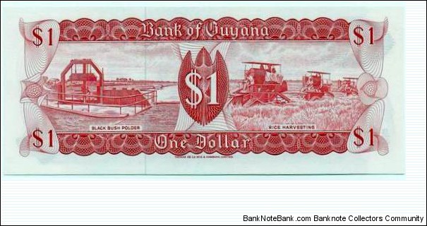 Banknote from Guyana year 1989