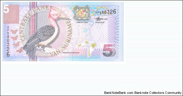 5 Gulden Banknote